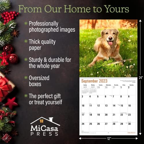 מיקסה גולדן רטריברס 2023 לוח שנה קיר חודשי לתלייה | 12 x 24 פתוח | נייר עבה ויציב | מתנה | כלב חמוד